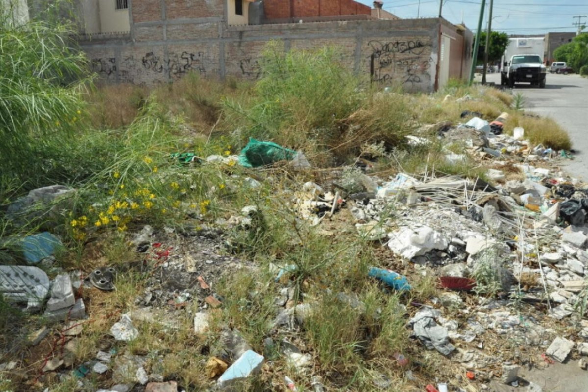 Transformación de baldíos