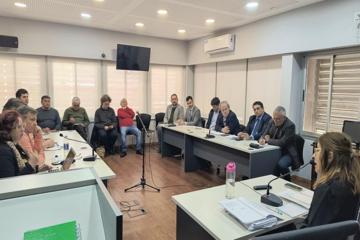 Conciliaci&oacute;n Obligatoria