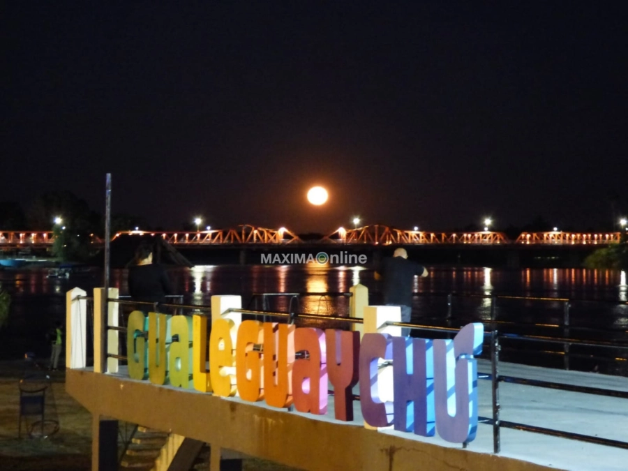 Gentileza: <a href="https://www.instagram.com/rodolfonaturalista/" target="_blank" rel="noopener">@rodolfonaturalista</a>